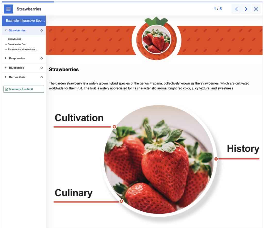 This is a screenshot of the first page of a H5P interactive book about berries. It also shows the navigation panels that appear within the tool. 